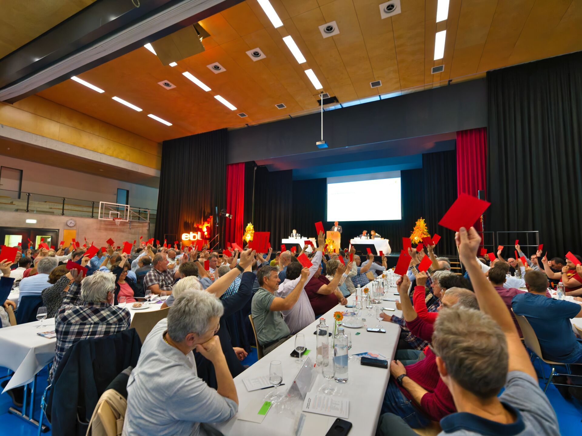 Delegiertenversammlung Abstimmung