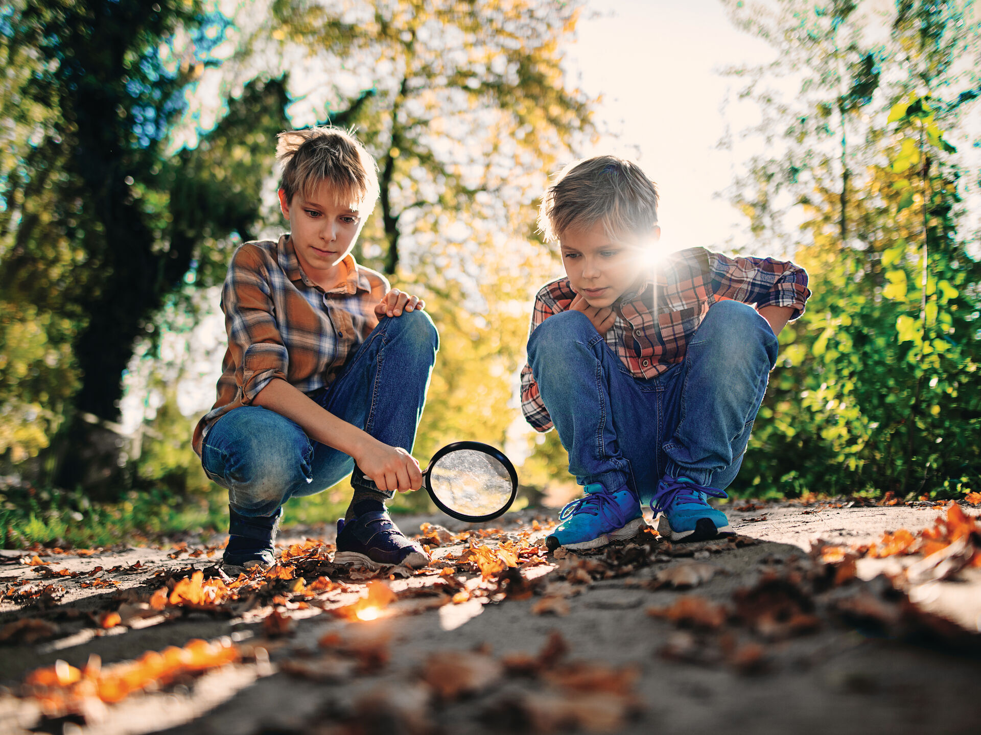 Kinder im Wald