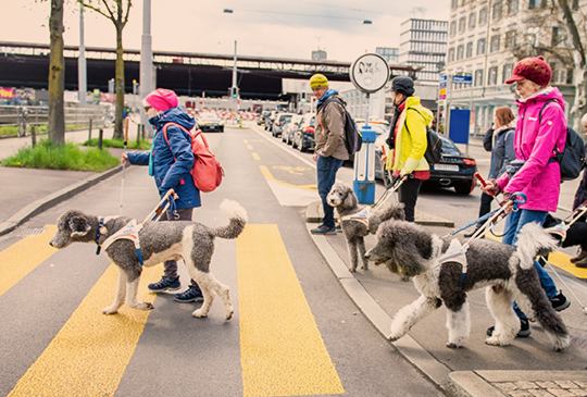EBL Vergabungen Blindenhund