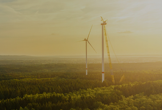 Windräder im Wald