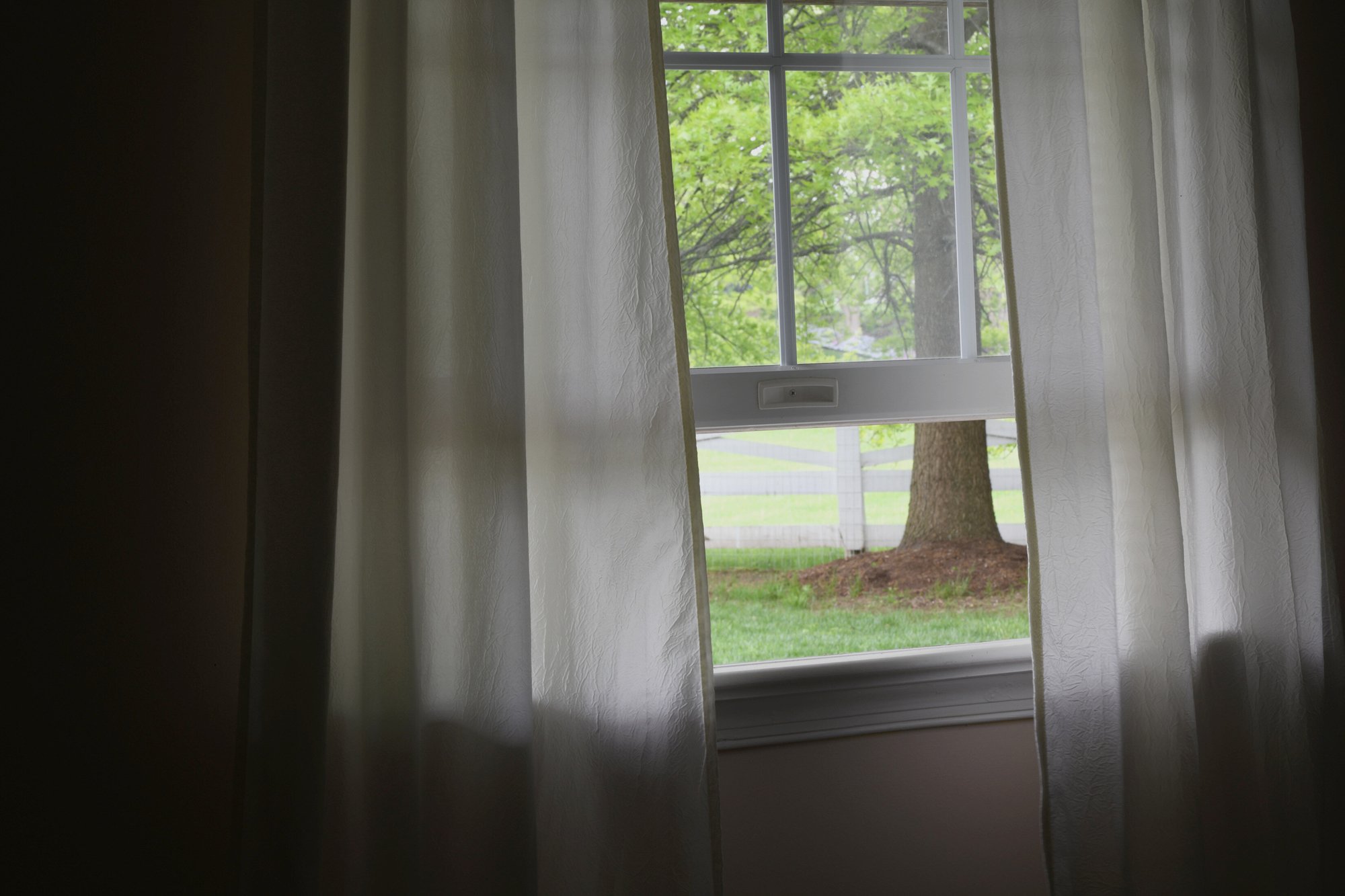 Fenster_Sommer-1 Fenster_Sommer-1