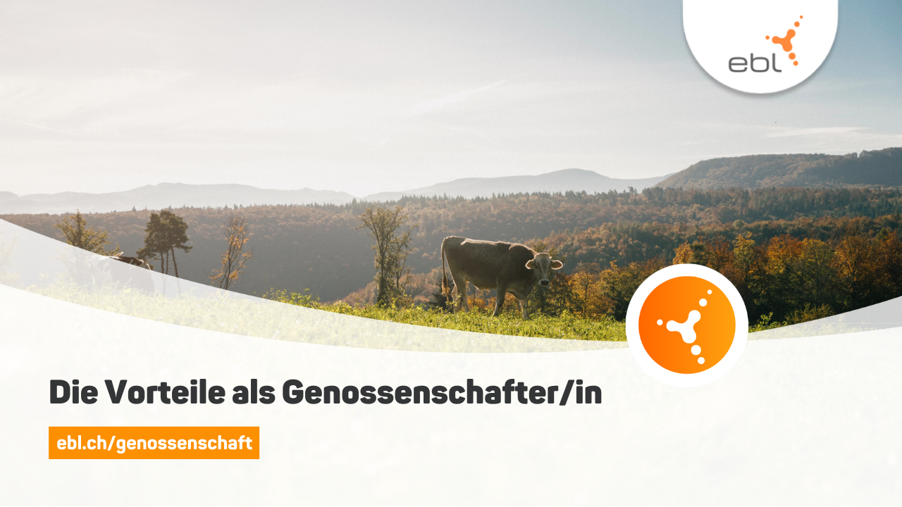 Genossenschaftervideo Thumbnail Vorteile Genossenschafter