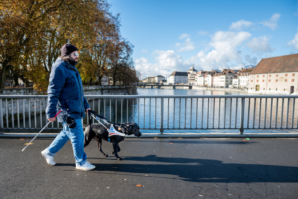 Kachelbild-Referenz-Blindenhund